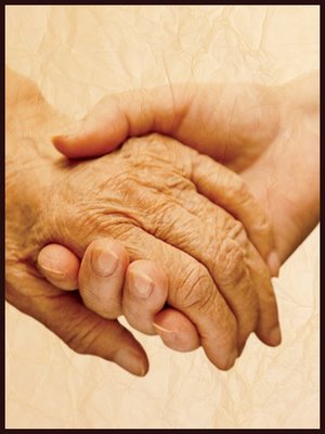 cover image of Oral Interview with Gary Toms